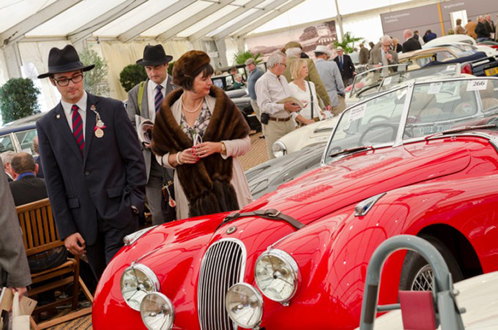 Goodwood Revival: Goodwood Revival: viewing vehicles