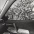 Lee Friedlander: Lee Friedlander