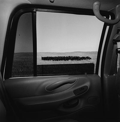 Lee Friedlander: Lee Friedlander