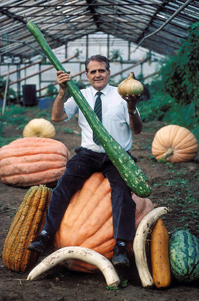 Giant vegetables: Bernard Lavery and some of his giant vegetables in 1995