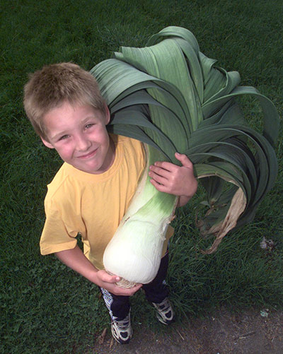 Giant vegetables: Michael Kingston with a 5.7 kilogram leek grown by Joe Atherton