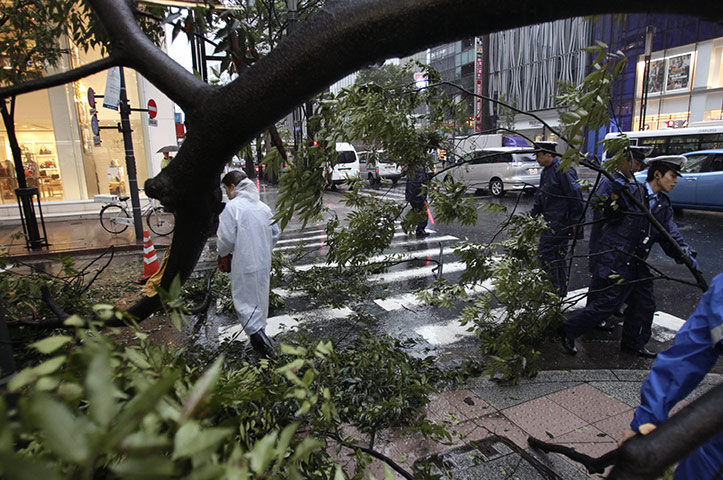 Typhoon Roke, Japan: Policemen attempt to remove a tree toppled by strong wind at Ginza district