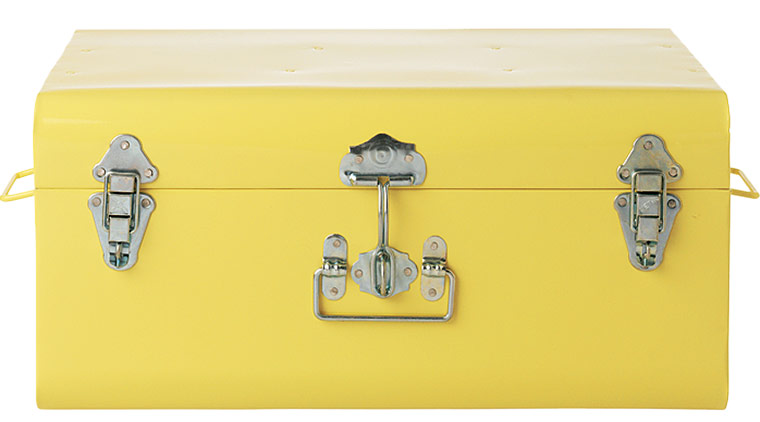 Autumn colours: Shades of light: tin trunk