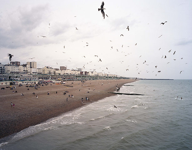 brendan gara: Brighton