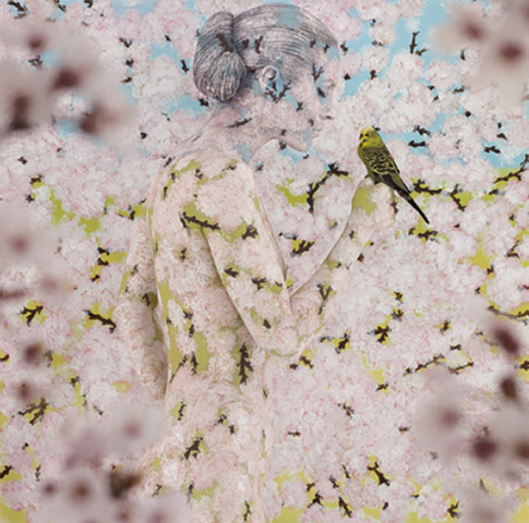 Utopia - Blossom Cradled Budgie by Emma Hack