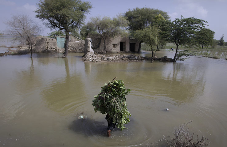 24 Hours: A displaced Pakistani youth crosses a flooded field