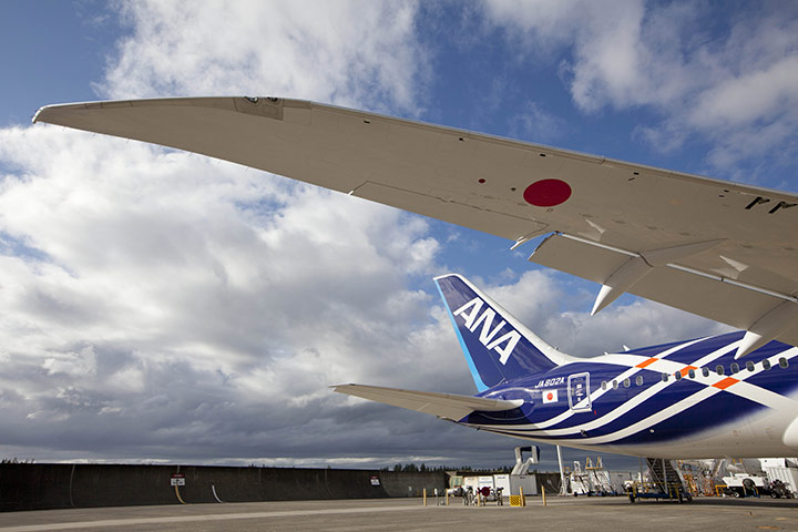 boeing 787 dreamliner: ANA livery on the tail sectionof the 787