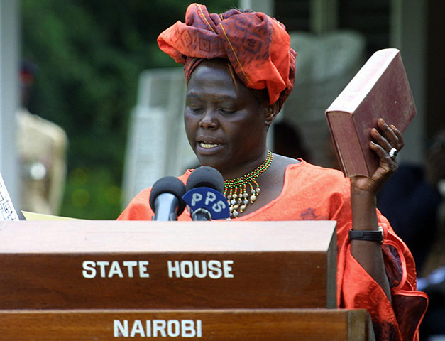 Wangari Maathai: Kenyan government minister Wangari Maathai