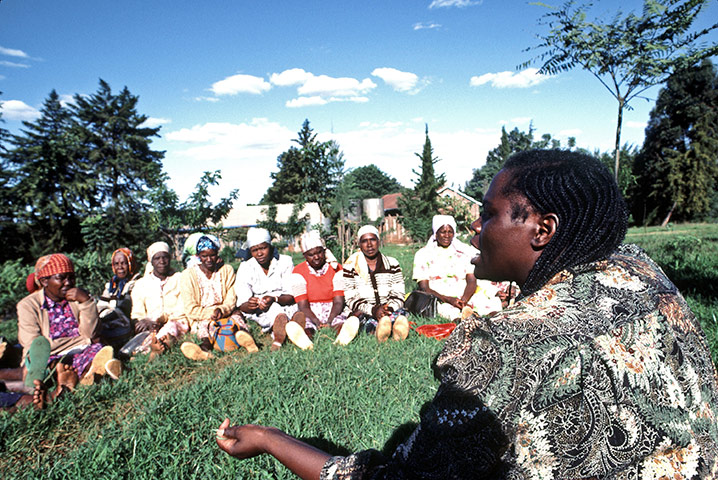 Wangari Maathai: founder of the Green Belt Movement