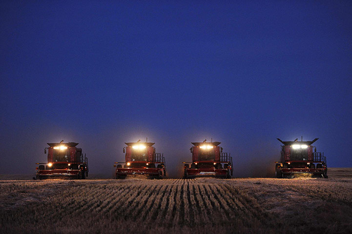 24 hours in pictures: Fort MacLeod, Canada: Combine harvesters harvest wheat
