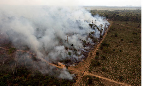 A deforested area burns near Novo Progresso in Brazil