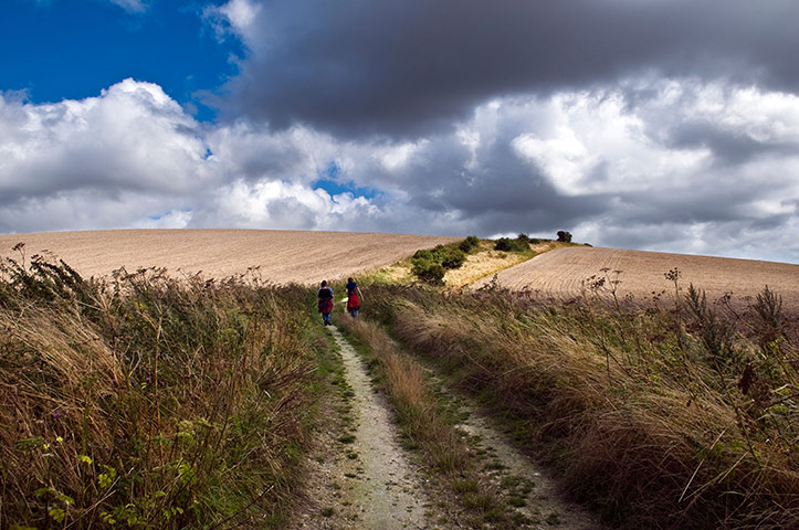 Hot Weather in the UK: People walking on the South Downs, West Sussex