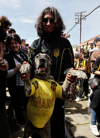 Penarol fan