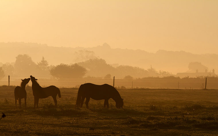 Indian summer: The very first rays of today's brilliant sunshine 