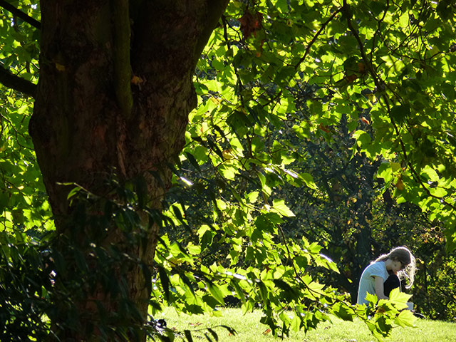 Indian summer: Reading in the park, Rotherhithe, London