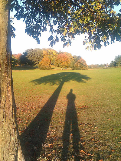 Indian summer: Casting shadows in Lloyds Park, Croydon