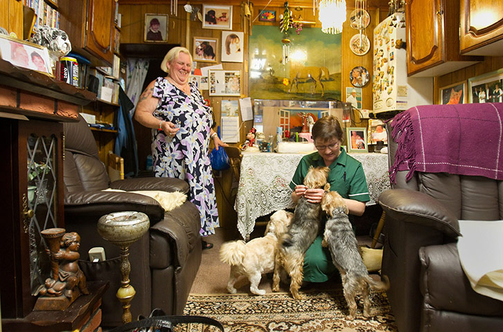 Blue Cross: The Blue Cross