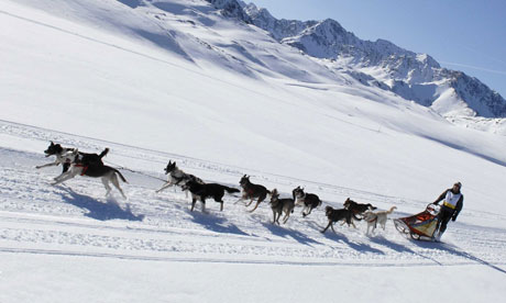 The Grande Odyssee husky dog sled race in The Alps, France - 13 Jan 2007