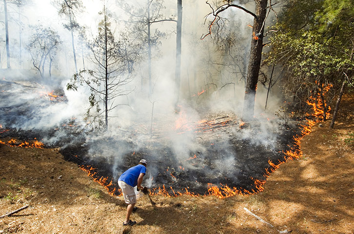 Texas Wildfires: Man uses a shovel to stop a fire in backyard of a home in Bastrop, Texas