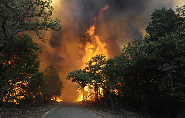 Texas Wildfires: A wildfire burns out of control in Bastrop State Park, Texas