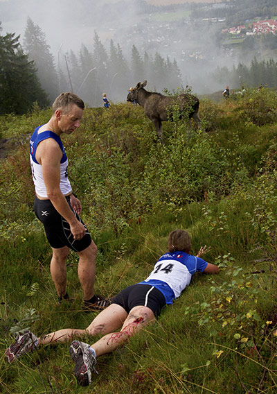 24 hours in pictures: woman attacked by elk in norway