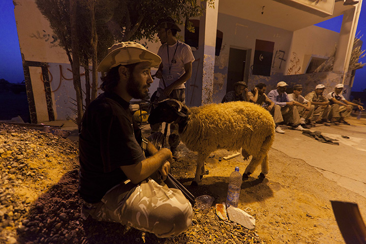 Sean Smith: Bani Walid: Libyan rebels at a check point south of Tarhouna on the road to Bani Walid