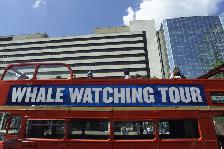 Archives Awareness: Protesters at International Whaling Commission in London, July 2001.