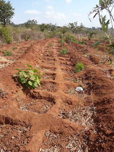 Kitui, eastern Kenya