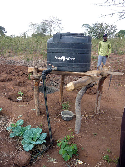 Drip irrigation system
