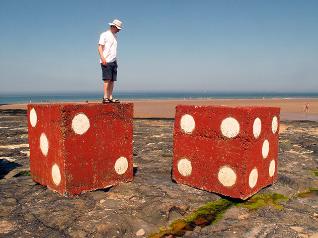 In pictures: spot: Large dice
