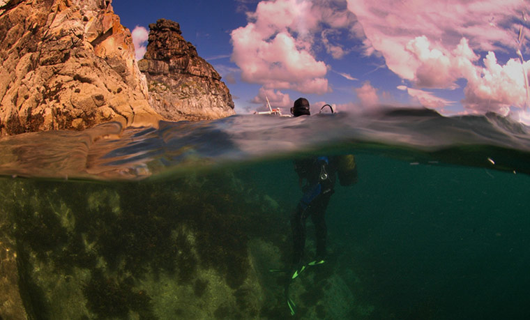 2011 Splash-In: Lundy’s underwater photography competition