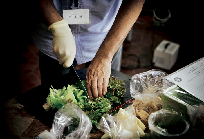 Fukushima: six months on: Fukushima: Citizen's Radioactivity Measuring Station