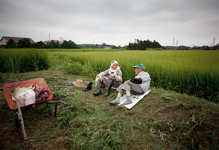 Fukushima: six months on: Fukushima: rice fields
