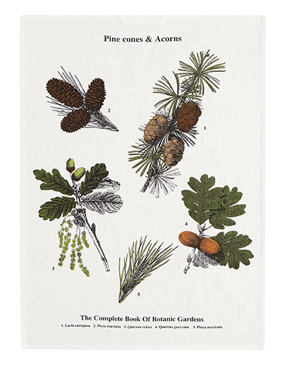 Wish list: tea towels: Botanical pine cones