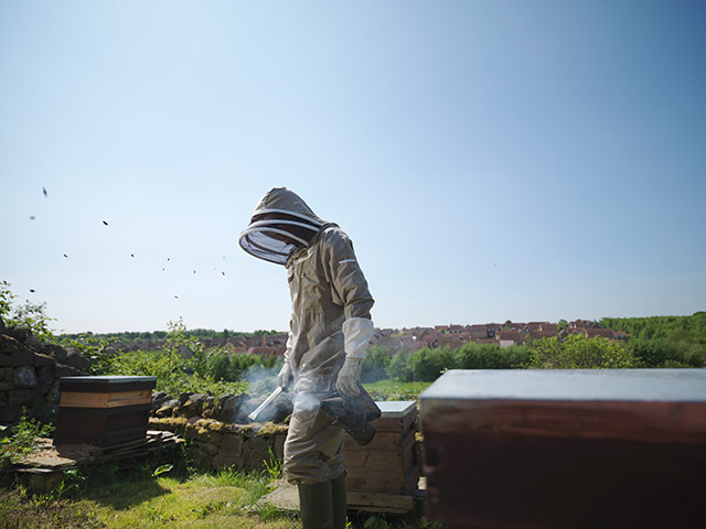 BFC inspirations: Beekeeper with smoker and hives