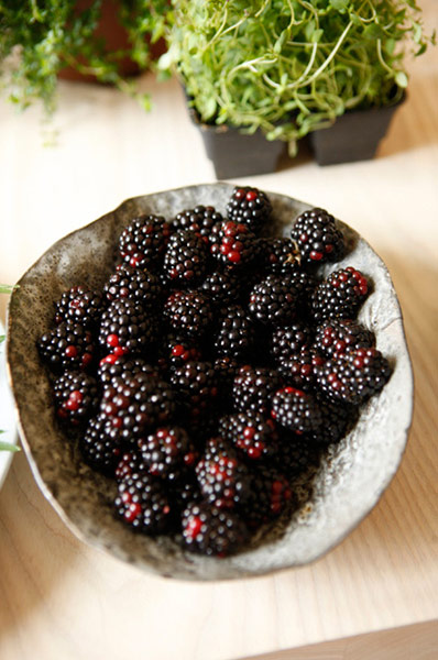 Cooking with René Redzepi: Freshly picked blackberries