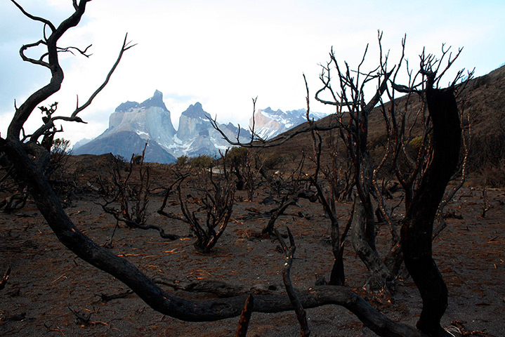 24 hours: Chile: Burnt vegetation frames background mountains as a forest fire rages