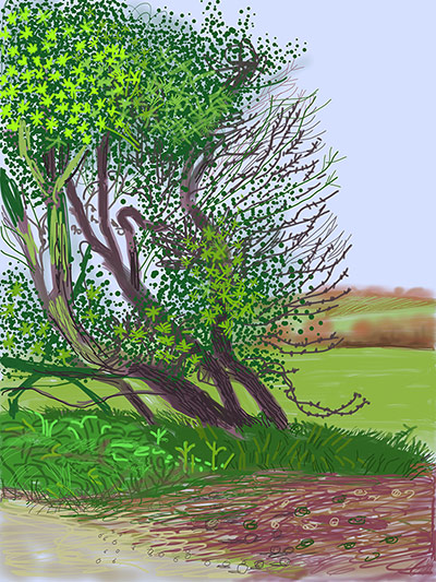 Hockney: Bigger Picture: The Arrival of Spring in Woldgate, East Yorkshire, by David Hockney 