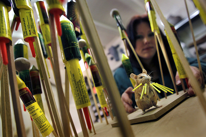 24 hours in pictures: Astro the Rocketmouse goes into a museum