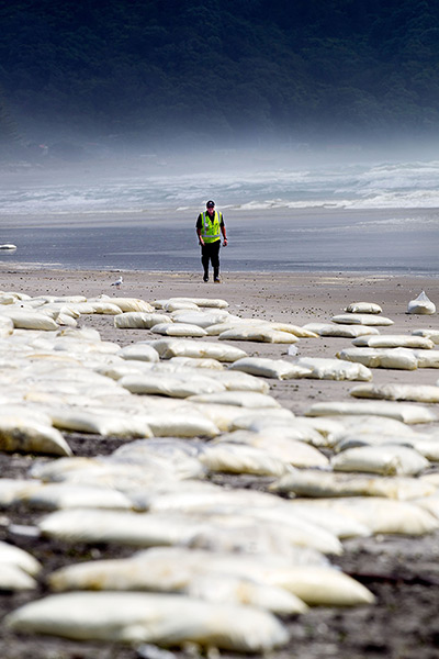 Rena breaks up: A security guard walks on a beach where milk powder was washed ashore
