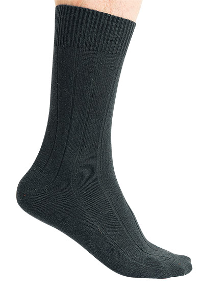 Men's socks: Falke socks