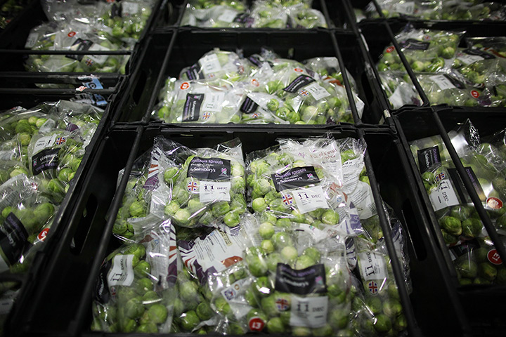 Week in business: Trays of brussels sprouts at Sainsbury's Waltham Point distribution depot 