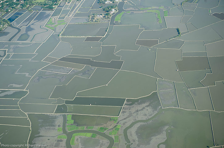 Bangladesh: aviation NGO MAF