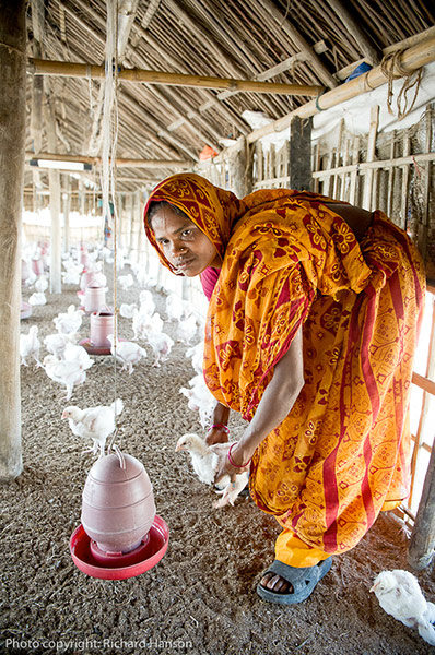 Bangladesh: aviation NGO MAF