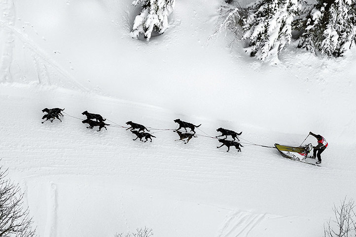 Sport pics of the week: A musher competes with his sledding dogs at 