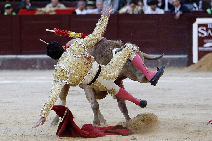 24 hours in pictures: Colombian bullfighter Juan Viriato is tossed by a bull