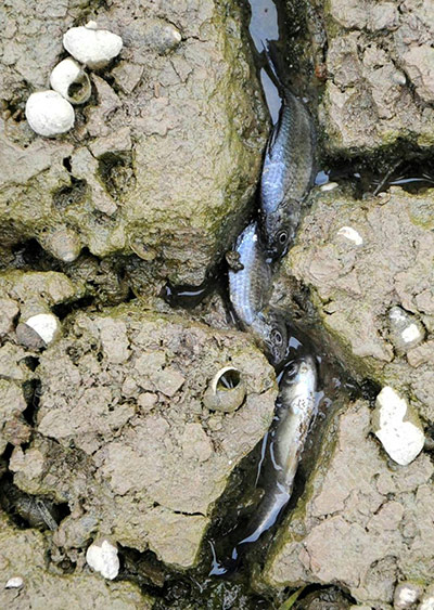 China environmental year: Poyang Lake in Nanchang , Jiangxi