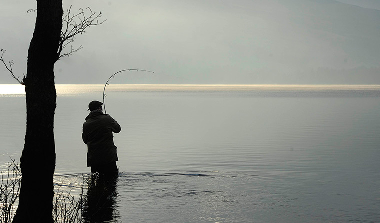 salmon fishing season: An angler casts a line