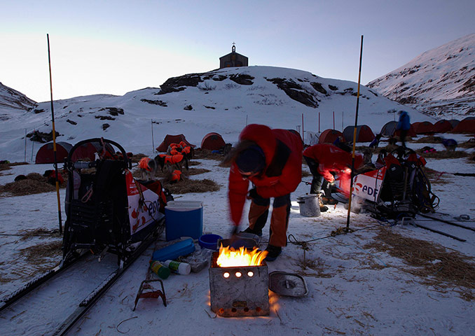 Sled dog race : La Grande Odyssee sled dog race