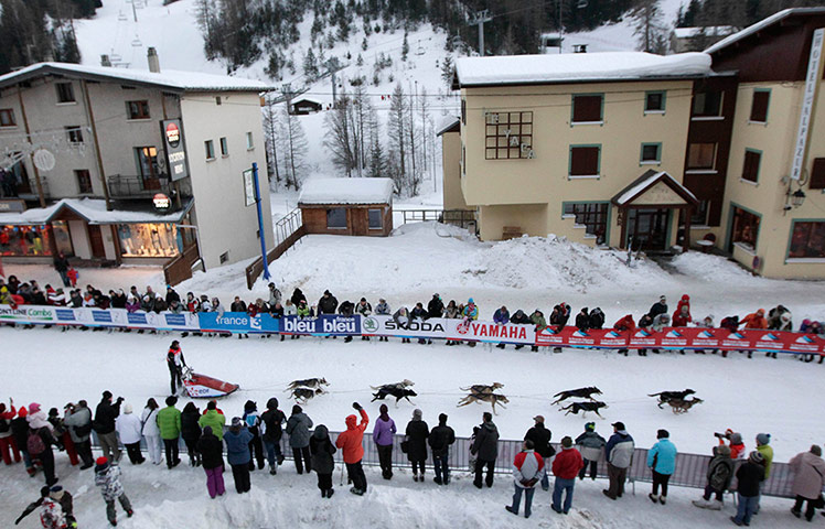 Sled dog race : La Grande Odyssee sled dog race